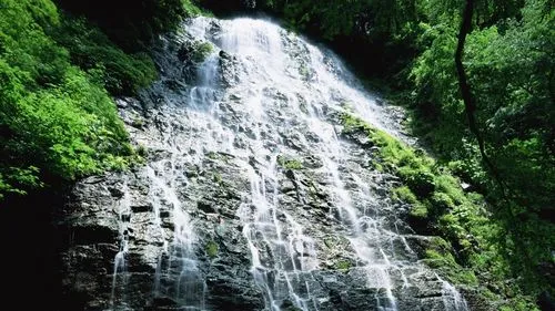 高性能绿色